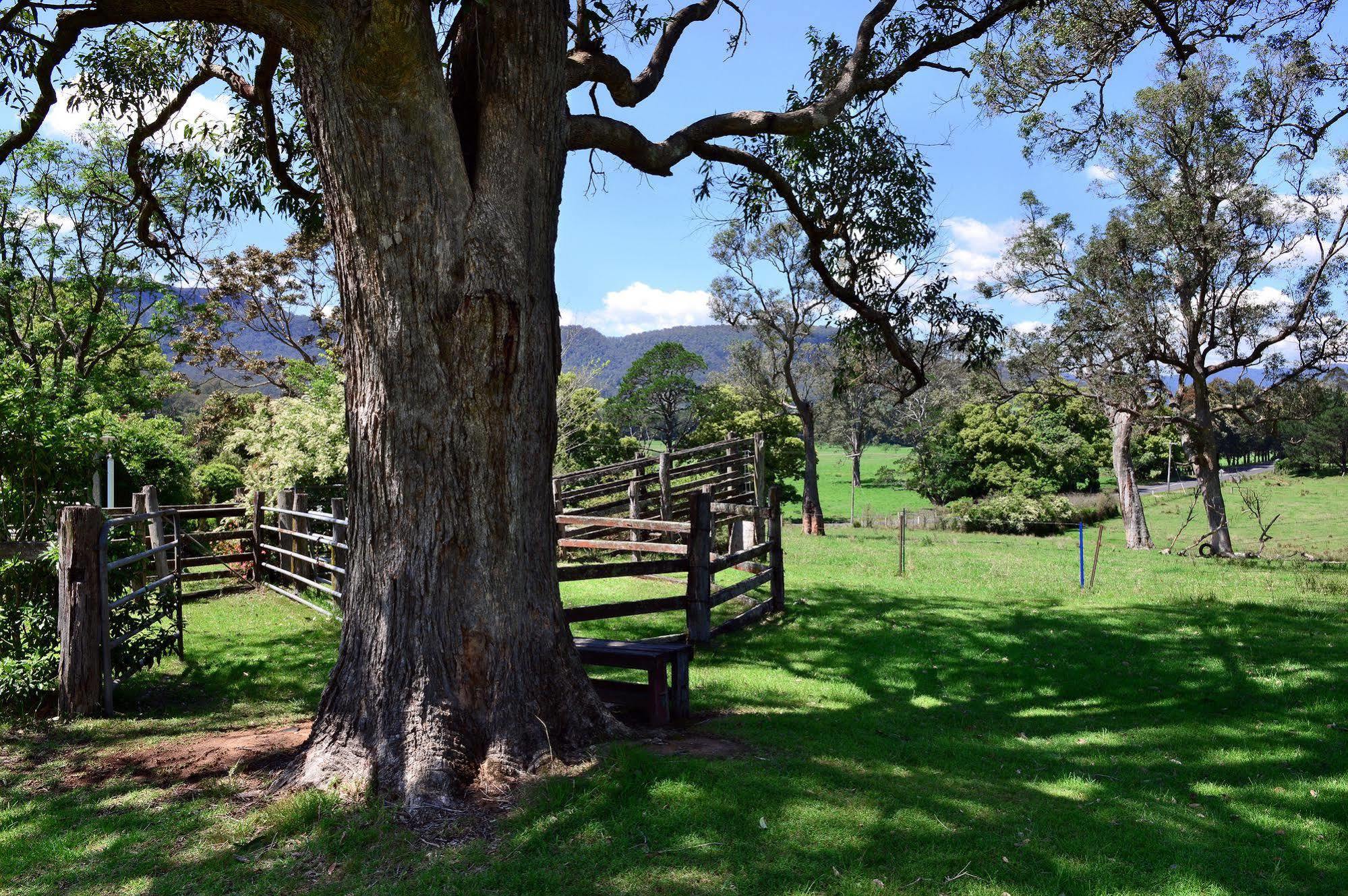 The Laurels B&B Kangaroo Valley Eksteriør bilde