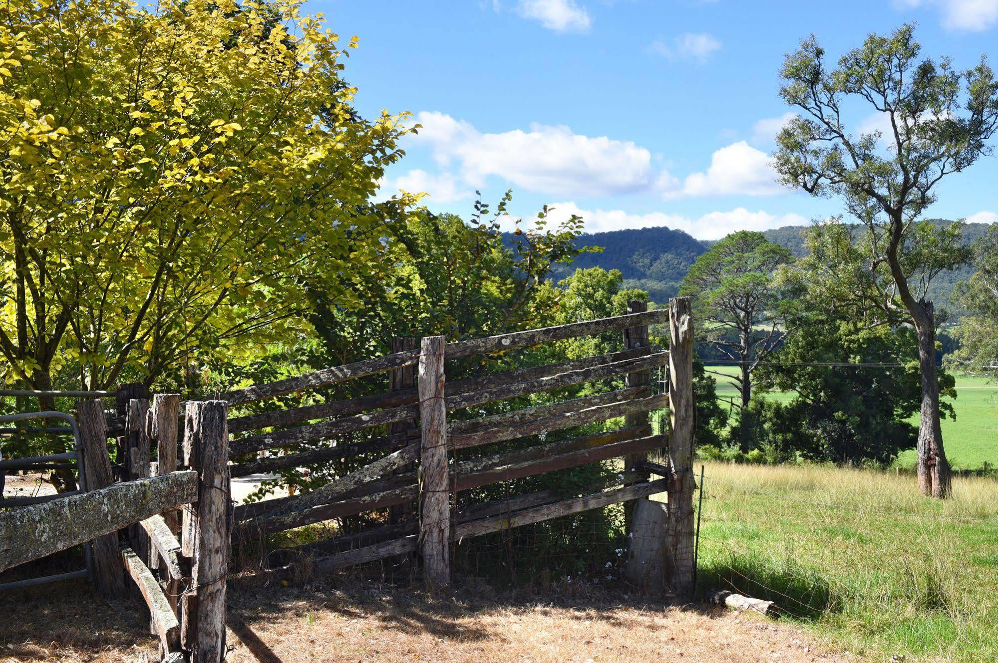 The Laurels B&B Kangaroo Valley Eksteriør bilde